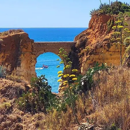 Lagos-piscine Et Mer- Do Mar Лагуш